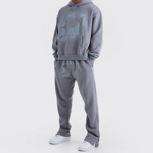 Sweats à capuche unisexe avec logo personnalisé Pantalon de survêtement Ensemble de jogging de fitness grande taille Survêtement à fermeture éclair de style décontracté du fabricant - Product Image 1
