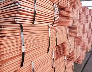 แคโทดทองแดงคุณภาพดั้งเดิมในราคาขายส่งที่ถูกที่สุดมีในสต็อกขนาดใหญ่ - Product Image 1