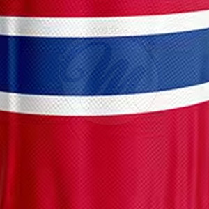 Tenue de hockey sur glace pour hommes, vêtements d'équipe professionnels, tenue confortable, élégante et moderne pour l'entraînement et les matchs - Product Image 6