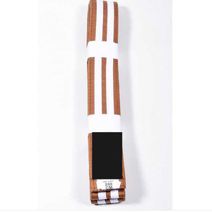 Ceintures de Jiu Jitsu BJJ pour enfants brésiliens Vente en gros Logo personnalisé Broderie Arts Martiaux Taekwondo Karaté Judo - Product Image 4