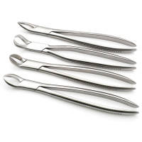 NVC Manufacturer's Premium Quality Stainless Steel Horse Dental Forceps <b>Veterinary</b> <b>Surgical</b> <b>Instrument</b> Growing Tooth Care Model - Product Image 2