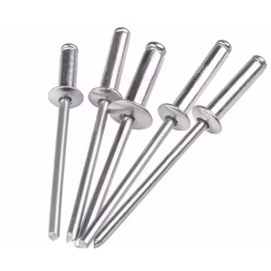 Rivet en acier inoxydable OEM, tête hémisphérique 48-6 mm, certifié ISO, livraison en 24 heures - Product Image 1