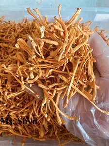 เห็ดถั่งเช่ามิลิทาริสฟรีซดรายขายส่ง อาหารจากดอกเห็ดบริสุทธิ์ 100% ยี่ห้อวีเดลต้า อายุการเก็บรักษา 12 เดือน เวียดเดลต้า - Product Image 5