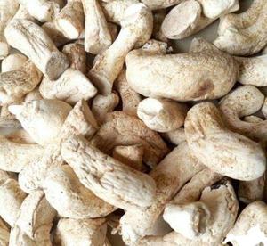 Tallo De Seta holesale, tallo De Seta seca, sabor mi - Product Image 5