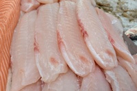 Filet de poisson Pangasius congelé du Vietnam, 10 kg, bien éviscéré, 100 % pur, faible teneur en sel, sans additifs, qualité LQF
