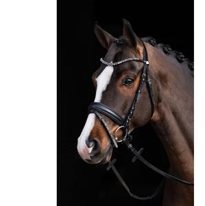 Brida de cuero - Product Image 1