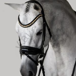 Ariana Gold Crystal Brow Band Brida con gel acolchado Patent Noseband y tocado anatómico para caballos - Product Image 2