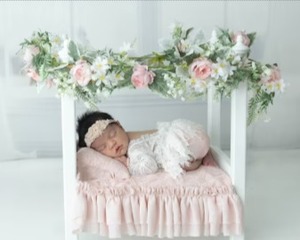 Venta de fábrica, cuna para bebés, cuna, cama de madera para sesión de fotos, cuna de madera multifuncional para bebés recién nacidos - Product Image 4