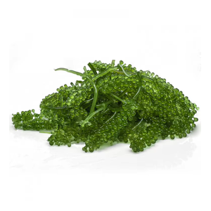 องุ่นทะเลเนื้อกรอบแบบเวียดนามมีรสชาติเข้มข้นเหมาะสำหรับการนำเสนอสลัดสุดหรูและร้านอาหารทะเลสุดหรู - Product Image 6