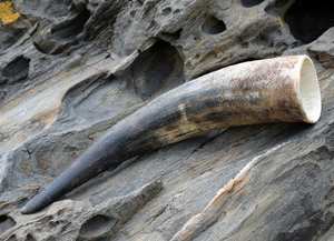 Tasse à corne tasses à corne tasses à corne viking à boire - Product Image 2