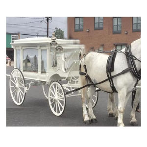 Carruaje Fúnebre Europeo de Diseño Moderno, Profesional, Tirado por Caballos, Color Personalizado, Ligero, Diseño Simple, en Venta - Product Image 1