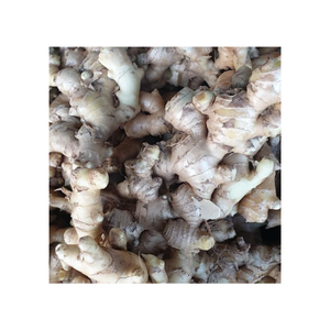 Jengibre fresco natural con fragancia rica Superficie limpia y tamaño consistente Perfecto para servicios de alimentos y venta al por menor - Product Image 3