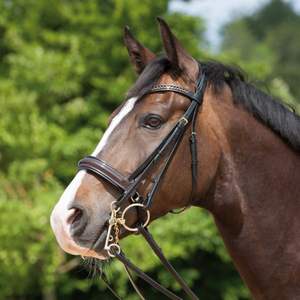 Bride incurvée bandeau avec cristaux blancs, muserolle avec cuir verni noir - Product Image 1