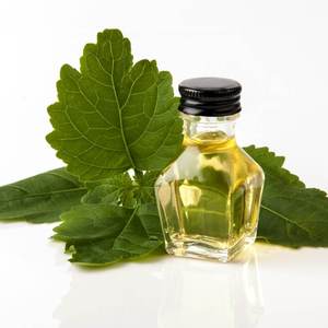 Pure & Natural Patchouli Essential Oil | Bulk Wholesale Aromatherapy Oil for Skin, Hair & <b>Diffuser</b> Use | Private Label Available - Product Image 1