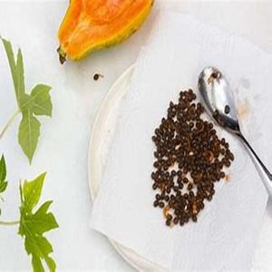 เมล็ดมะละกออบแห้งธรรมชาติ - Product Image 6