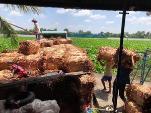 Venta al por mayor de todo tipo de cesta de jacinto de agua natural superventas - Product Image 6