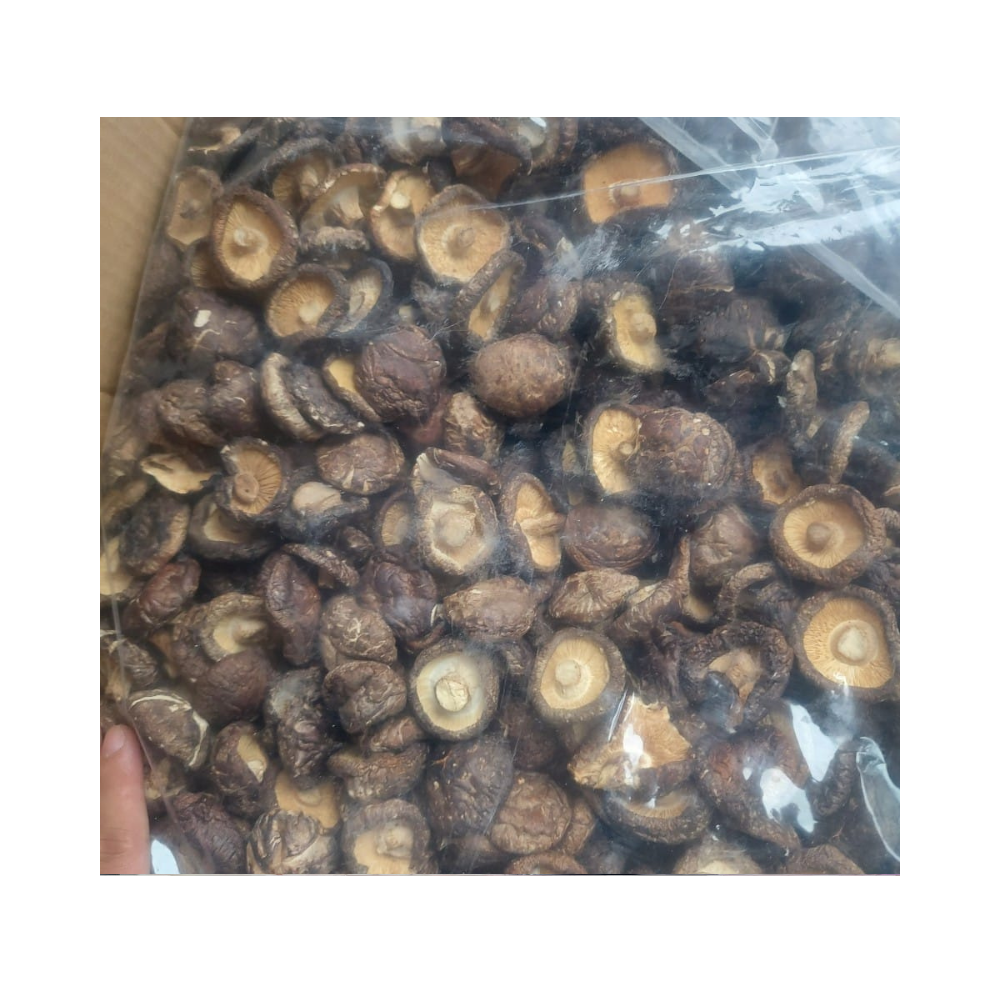 Cogumelo de caule de ostra seco Baixo Preço Cogumelos Shiitake Secos Naturais de alta qualidade Orgânicos do Vietnã