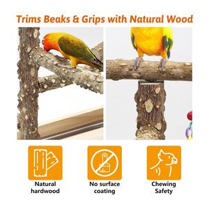 Parc de jeux en bois pour l'entraînement et le jeu des oiseaux, avec perchoir pour perroquet, structure d'escalade, plateau amovible et mangeoires en acier inoxydable - Product Image 4