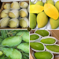 Vietnam Hoogwaardige Verse Mango - Tropisch Fruit voor Export met Groothandelsprijs