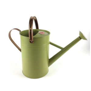 Regadera de hierro puro con recubrimiento en polvo, tamaño y forma personalizados, decoración de jardín Vintage, maceta de agua - Product Image 5