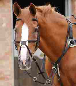 Latest 2026 Racing Horse Riding Reins Anti <b>Slip</b> Side Reins Accessories Trusted Manufacturer Supplier OEM Service Wholesale - Product Image 2