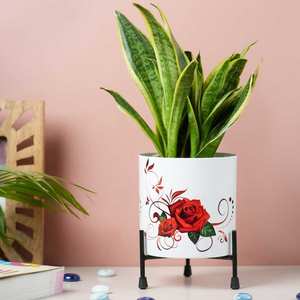 Vente chaude à la main Pots de plantes jardinières Vase à fleurs intérieur Design personnalisé avec une qualité supérieure - Product Image 6