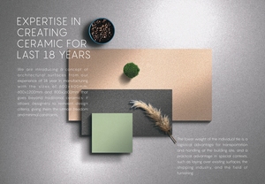 Tuile décorative de conception de piquet de finition mate brillante moderne de 117 millimètres pour le mur gris en acier de luxe FloorTile310x254mm de tuile de porcelaine - Product Image 6