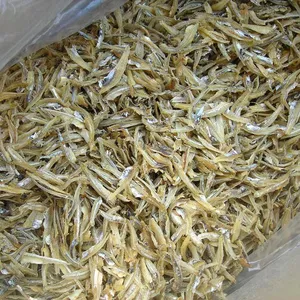 Best supplier for bulk Stock Available Of Dry seafood Dried Salted Anchovy/ dried anchovy fish/ dry anchovy