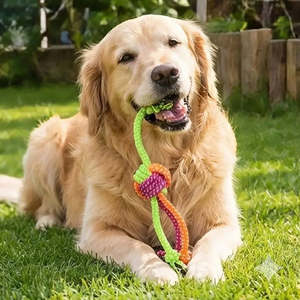 Jouet pour chien indestructible et écologique : Corde à mâcher durable en coton et boule et bâton en laine pour le jeu et les cadeaux - Product Image 5