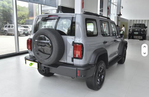 Performance de qualité 2024 Tank 300 2.0T Conqueror 4WD Off Road Tank 300 - Product Image 3