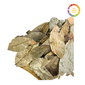 ทุเรียนเทศคุณภาพสูงทำแห้งและทำความสะอาดเพื่อใช้ในการแปรรูปชาบรรจุภัณฑ์ส่วนผสมและช่องทางการส่งออกเชิงพาณิชย์ - Product Image 1