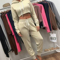 Novedades: Conjunto de sudadera con capucha corta de dos piezas para mujer, de color liso, de tejido grueso, corte ajustado, ecológico, informal, para invierno, personalizable.