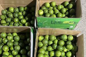 Premium <b>Fresh</b> Seedless Lime For Sale - Product Image 6