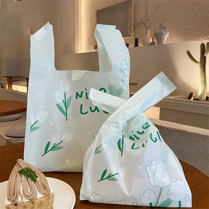 ถุงพลาสติก HDPE/LDPE พิมพ์ลายตามสั่ง - Product Image 3