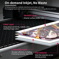 Imprimante UV électrique semi-automatique à tête compacte la plus populaire pour le revêtement de surfaces planes, le bois, l'emballage, les cartes, les bouteilles, multicolore