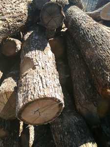 Leña seca suelta de 27 toneladas de alta calidad Carga de contenedor de 40'HC completa Mejor precio Producto de madera Premium - Product Image 2