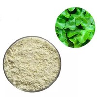 Centella Asiatica Naturelle 20% Triterpènes Qualité Alimentaire Vente en Gros Haute Qualité Emballage en Fût Extrait de Centella en Poudre en Vrac
