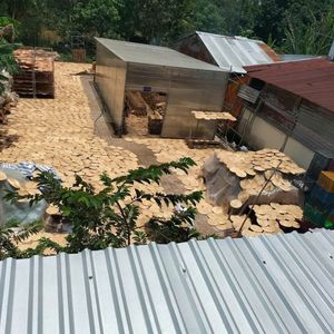 Esteras redondas de jacinto de agua con estilo, decoración Bohemia Vintage única orgánica para el hogar, caja empaquetada para sala de estar, trae naturaleza al interior - Product Image 3