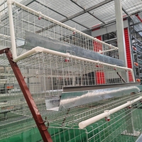 Cage à poulets galvanisée, cage à volailles, système de cages en batterie pour poules pondeuses pour l'élevage commercial de poules pondeuses