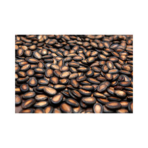 Venta al por mayor de fábrica Semillas de sandía tostadas sabor a ciruela Embalaje grande Snacks 10kgs por caja - Product Image 1