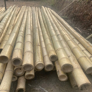 Strong <b>Thick</b> <b>Bamboo</b> <b>Poles</b> for Landscaping Borders and Structural Use Eco-Friendly Raw Materials Product - Product Image 5