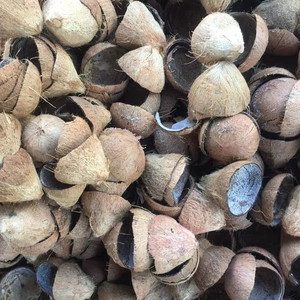 Coquille de noix de coco crue pour la fabrication de charbon de bois Vietnam origine 15% humidité emballage en vrac très bon marché pur expédition rapide déchets agricoles - Product Image 1