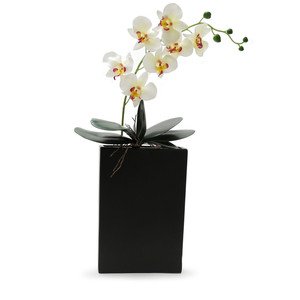 CBR8312BK - แผ่นสี่เหลี่ยมแบนสีดำขนาดใหญ่ - 8x2.5x12 - Product Image 2
