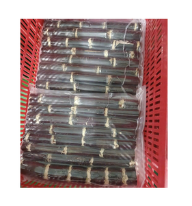 Canne à sucre pelée congelée OEM norme d'exportation prix d'usine fournisseur en vrac direct du Vietnam - Product Image 4