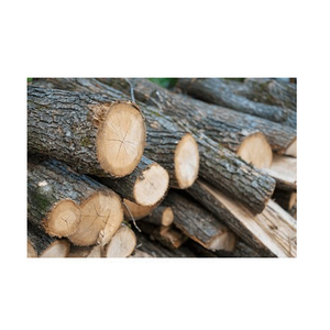 68. Best Product - Beech <b>Wood</b> Construction - Round <b>Wood</b> <b>Logs</b> for Sale - Beech Sawn <b>Wood</b> Lumber Export - Product Image 1