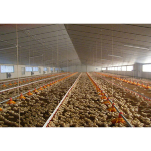 عمود تشييد على شكل دجاجة ودجاج مضيء على شكل شعاع مسبق البناء صناعة صينية - Product Image 4