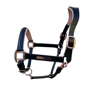 Pour les raccords en laiton de licou de cheval en cuir Hollywood avec plaque signalétique gravée Potable pour licou en cuir Hollywood - Product Image 4