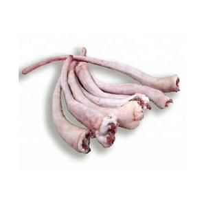 Cola de Cerdo Congelada Fresca de Alta Calidad con Proceso LQF, Origen Francia, 24 Meses de Vida Útil y Empaque a Granel - Product Image 1