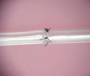 Modèle anatomique de vaisseaux sanguins simulés en silicone médical Barishan, tapis d'entraînement, 3 mm x 15 cm, transparent, souple, diamètre intérieur vasculaire - Product Image 1