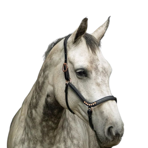 Harnais de cheval en cuir végétal de qualité supérieure personnalisé, bride en cristal, réglable, rembourrage doux, dressage, couleur personnalisée - Product Image 1